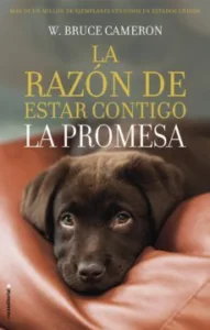 La Razón de Estar Contigo 3 – la Promesa