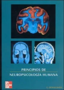 Principios de Neuropsicologia Humana